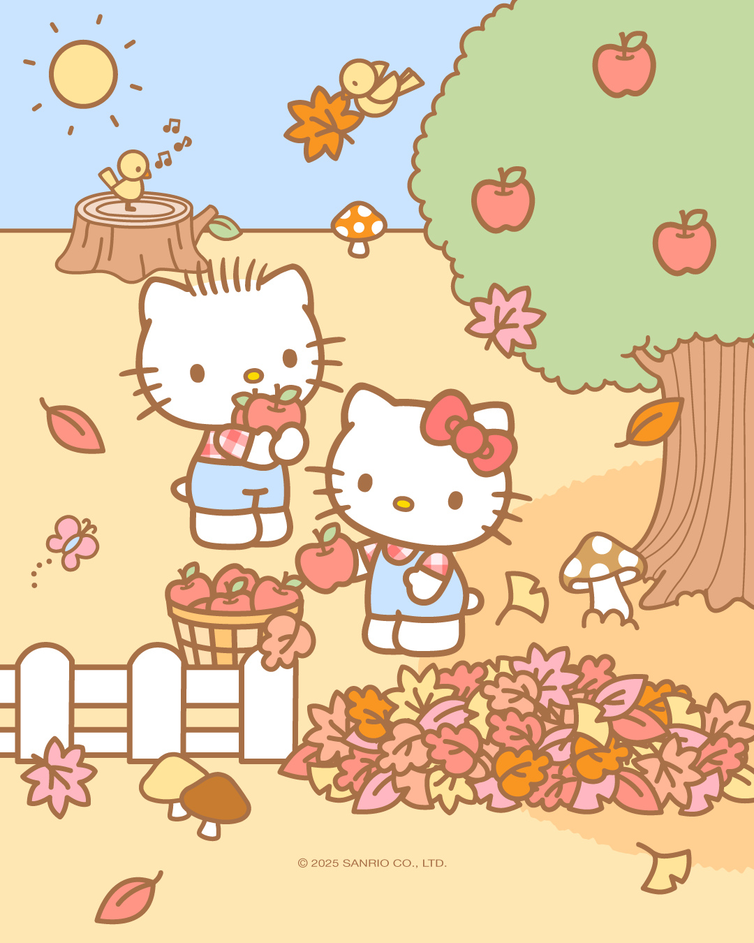 Kitty和男友是遠距離戀愛。