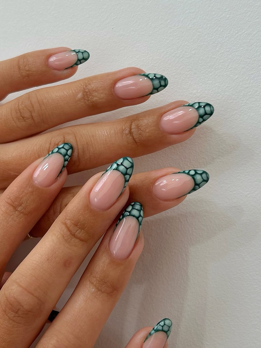 個性滿分蛇皮款