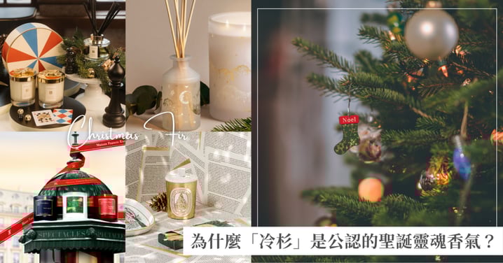 為什麼「冷杉」是公認的聖誕靈魂香氣?擁有冬日避世感,揭秘它無可取代的3大理由!2025聖誕冷杉香氛推薦