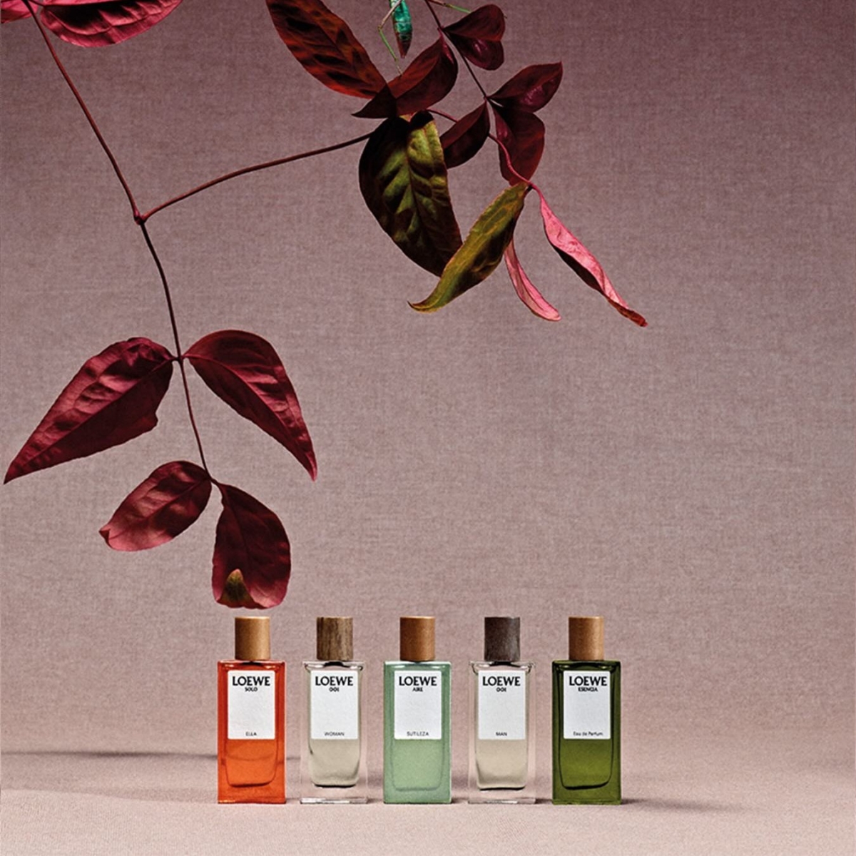 LOEWE 迷你香氛禮盒 7MLx5，NT$3,365