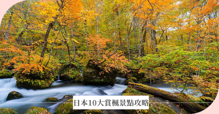 日本賞楓攻略｜北海道到九州10大楓葉絕景懶人包，時間＋交通一次看懂