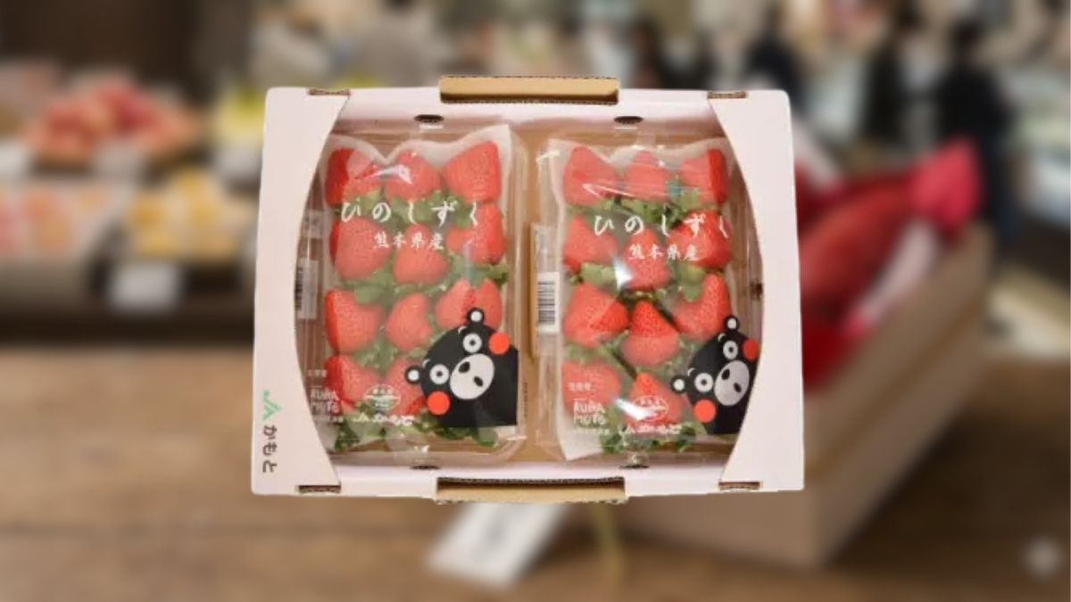 冬季去日本絕對不能錯過的就是草莓了！