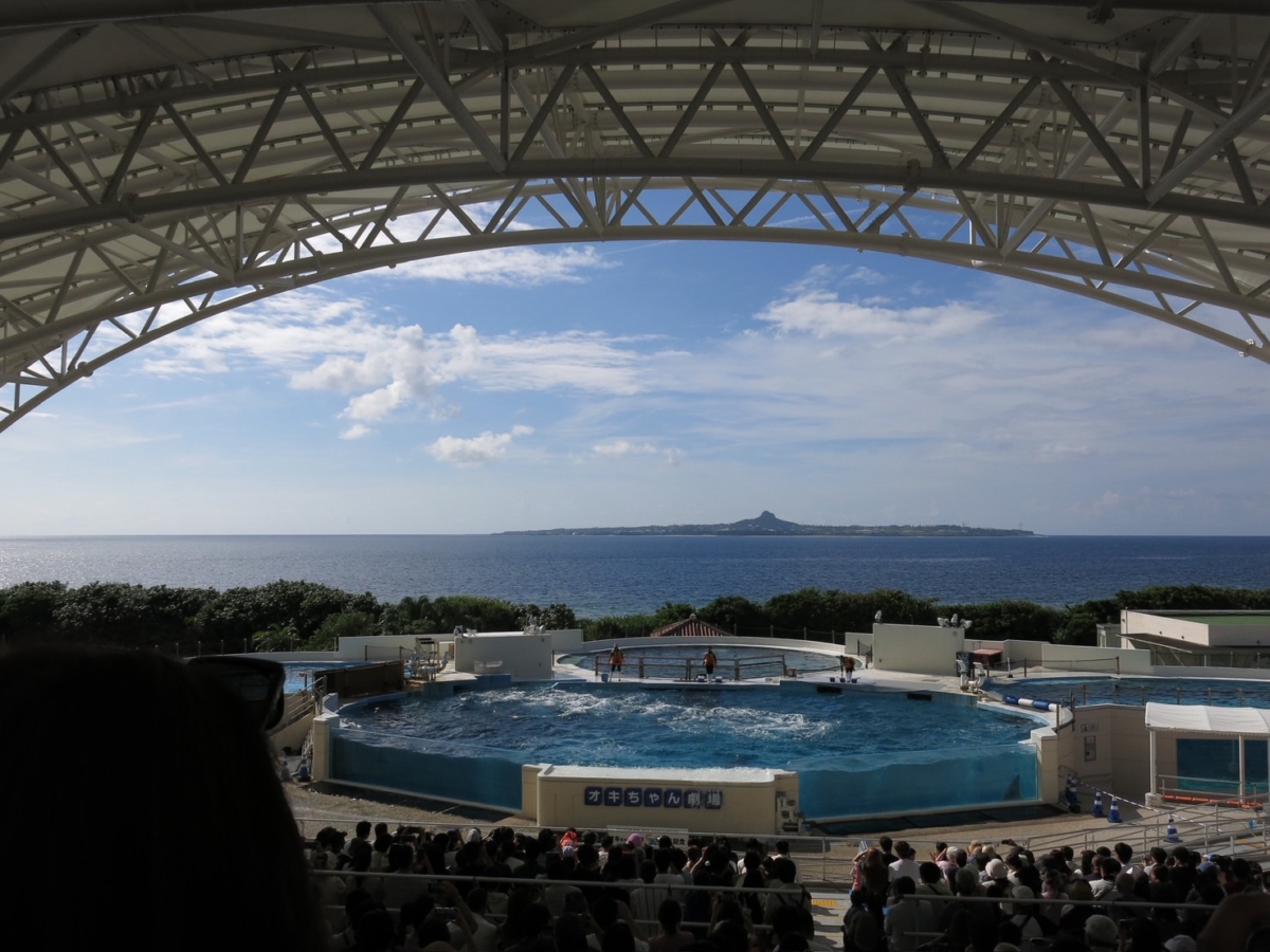 水族館許多海生活動，無論是大人小孩都會玩得很盡興！