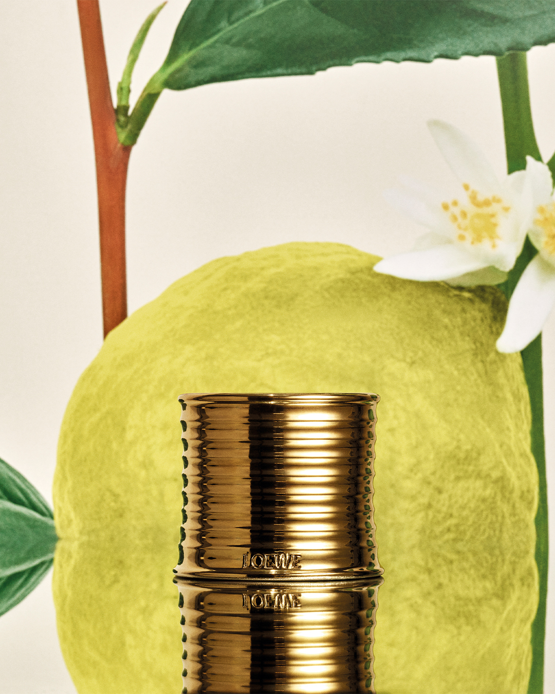 LOEWE 伯爵茶香氛蠟燭 280g，NT$9,000