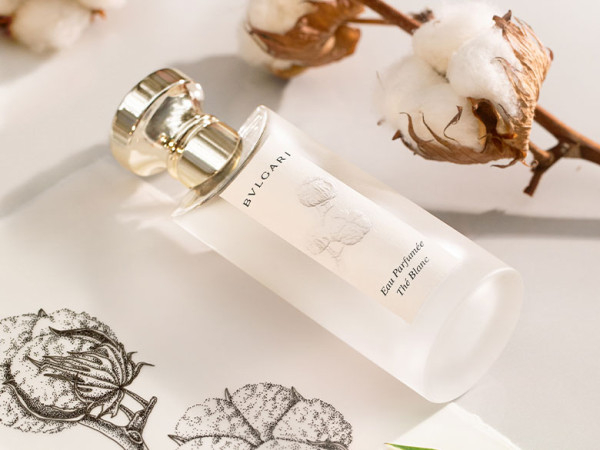 Soft Life「白茶香水」推薦03：BVLGARI 白茶中性淡香水 75ml，NT$5,100