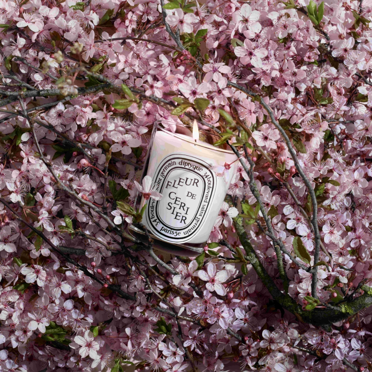 Diptyque 季節限定版櫻花香氛蠟燭190g，NT$2,300