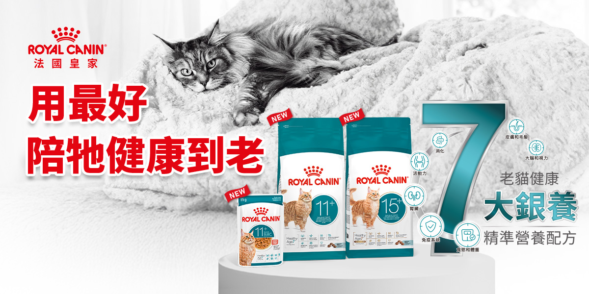 隨著越來越多貓咪健康地邁入老年，熟齡與老齡階段照護需求出現明顯差異。