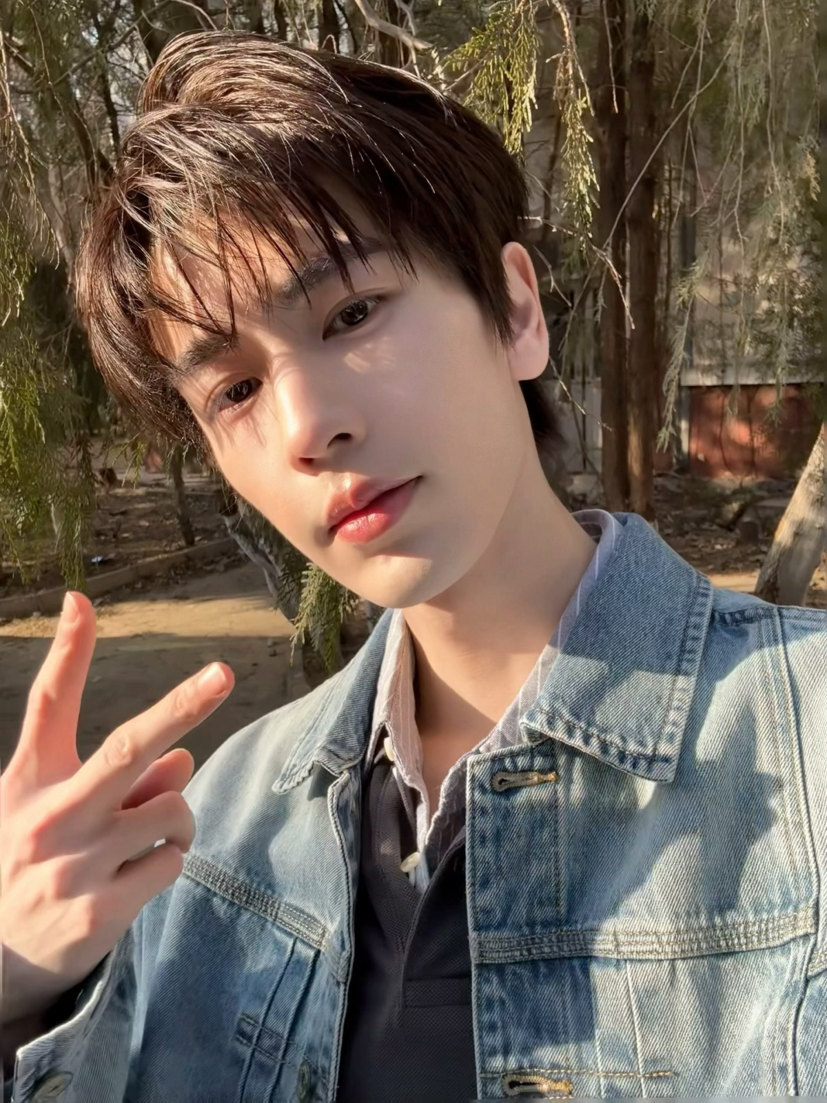 論文分析張凌赫長年駐紮在橫店拍戲，建議粉絲應前往上海或橫店發展。透過物理距離的縮短，增加在咖啡廳、片場「巧遇」的變數機率。這不是跟蹤，這叫地緣戰略布局！