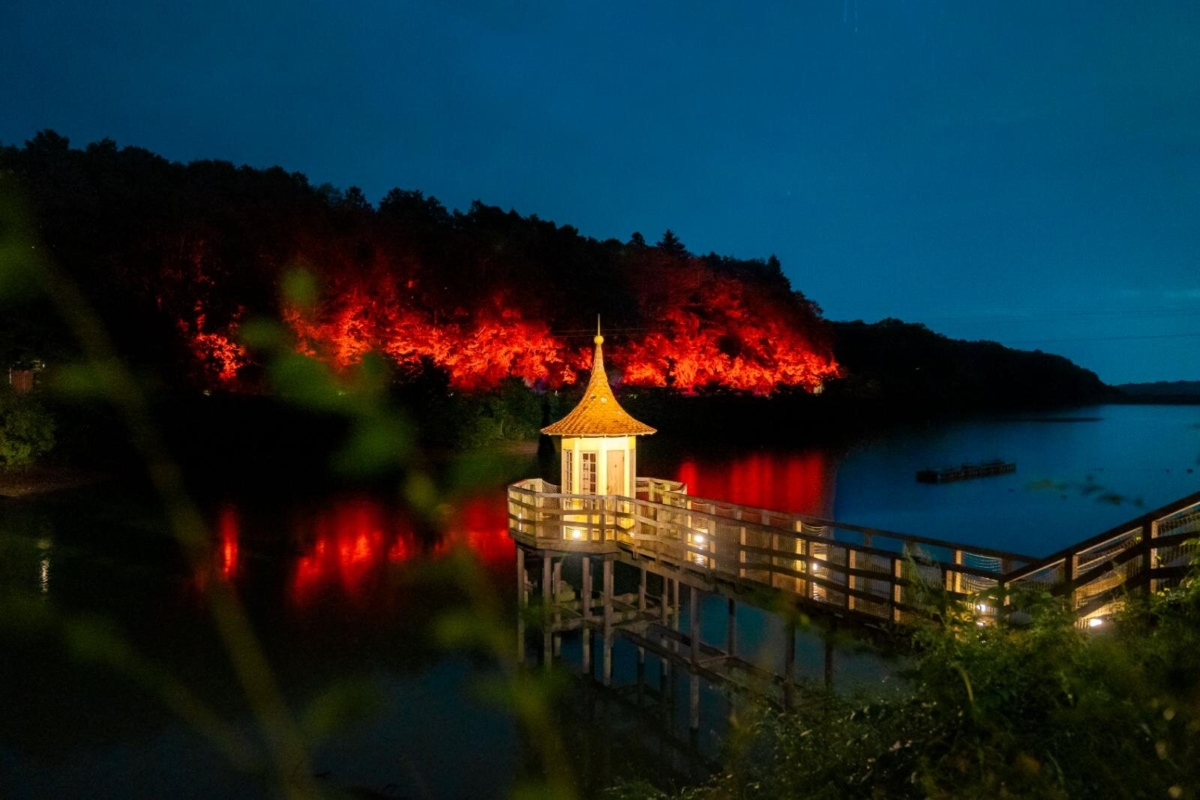 搶先感受秋意！浪漫夜間紅葉點燈