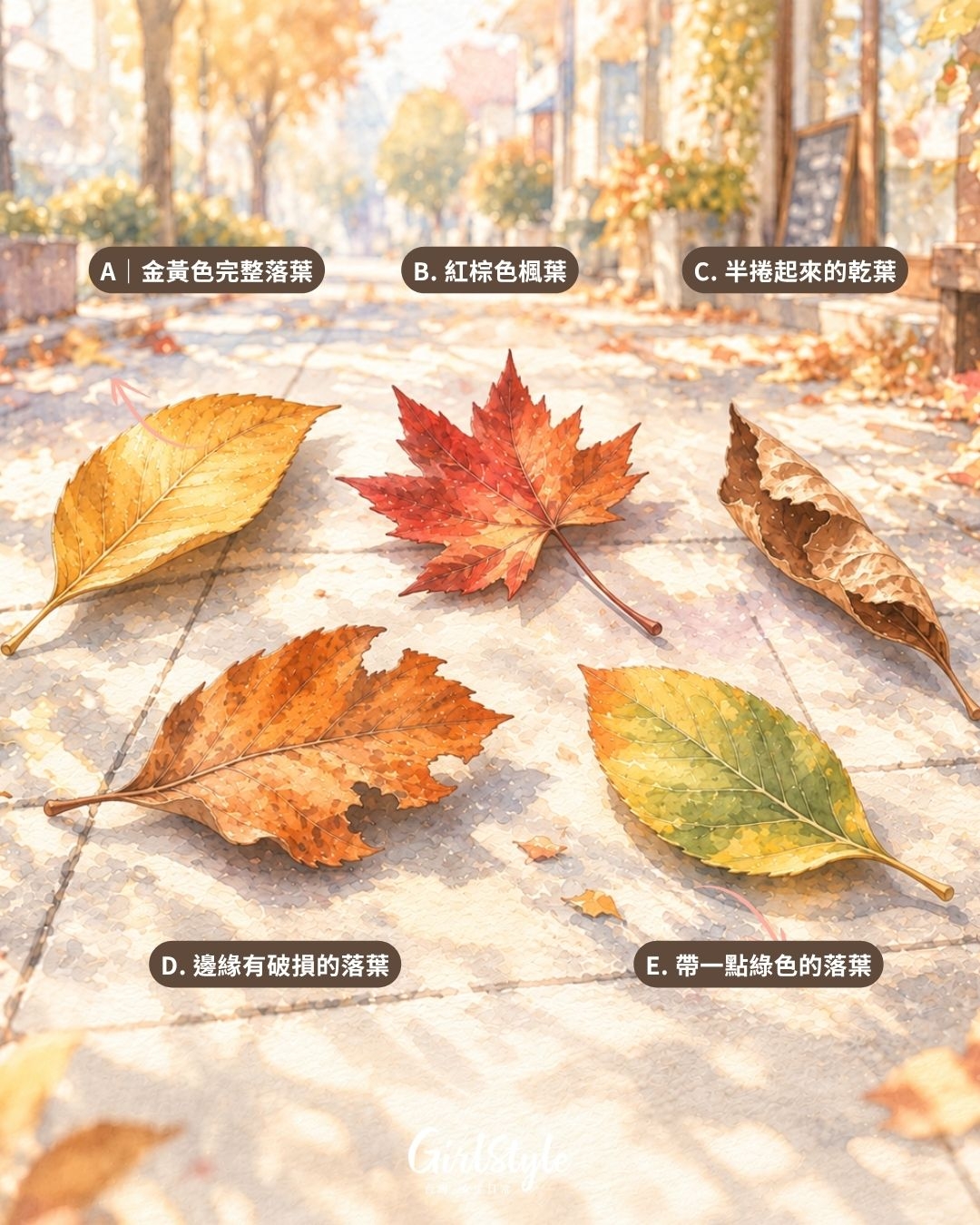 【日常心測站】選一片秋天落葉，測最近會在哪件事上變清醒♡是生活方向、關係心動、該放下的情緒、不適合的人事物，還是下一步選擇。