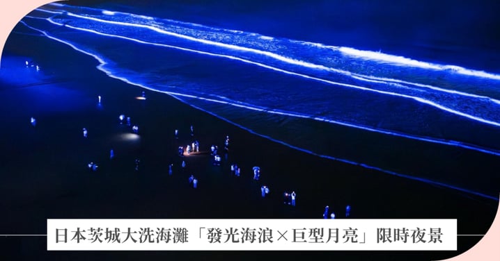 【茨城自由行】2026 大洗 Sun Beach 夢幻點燈！「Night Park 大洗」海邊光影藝術祭攻略