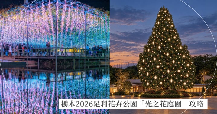 日本三大燈飾!栃木2026足利花卉公園「光之花庭園」點燈攻略!500萬球光影大藤、門票交通整理