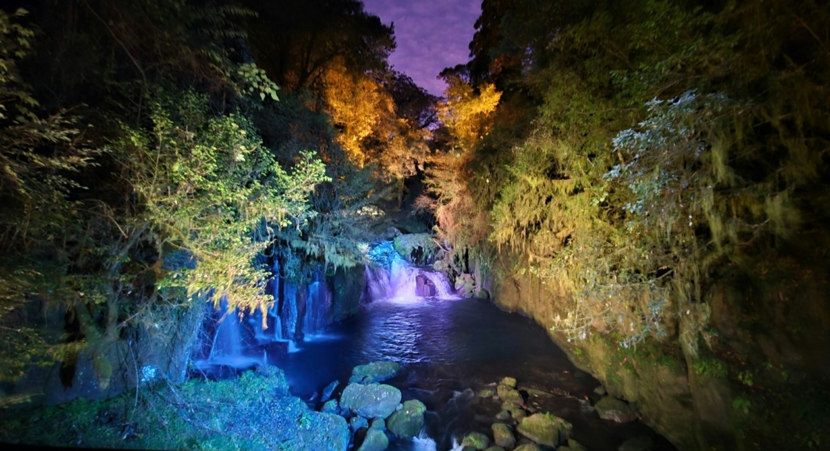 11月20日至12月6日為「菊池溪谷夜間點燈」活動。
