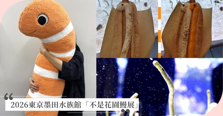 2026東京墨田水族館「不是花園鰻展」登場！111cm巨型玩偶、橘白條紋霜淇淋懶人包！